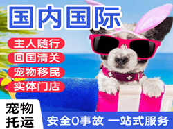 哈尔滨空运地址国际宠物托运 【国